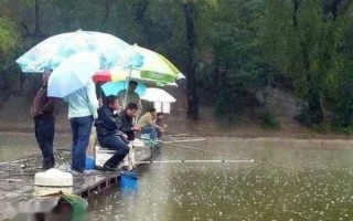 夏雨直播钓鱼怎么样，夏雨直播钓鱼怎么样知乎！