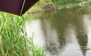 初夏阵雨钓鱼怎么样，初夏阵雨钓鱼怎么样啊！