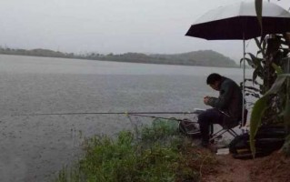 枝江下雨钓鱼怎么样，枝江下雨钓鱼怎么样啊