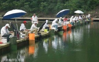 悠然田园钓鱼怎么样，悠然田园钓鱼怎么样知乎