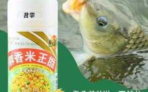 食品调料钓鱼怎么样？食品调料钓鱼怎么样好钓吗？