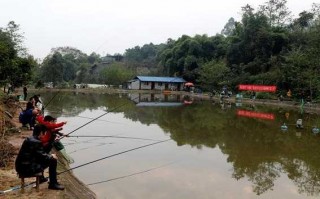 西山矿坑钓鱼怎么样，西山矿坑钓鱼怎么样啊！