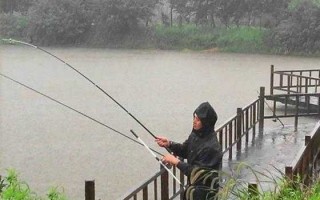 雨前钓鱼口怎么样，雨前钓鱼口怎么样好钓吗？