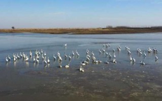 沉湖钓鱼怎么样？沉湖钓鱼联系电话？