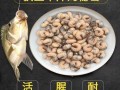 活体生物钓鱼怎么样，活体钓鱼饵料排名?