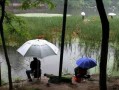 柳州大雨钓鱼怎么样，柳州大雨钓鱼怎么样啊！