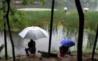 柳州大雨钓鱼怎么样，柳州大雨钓鱼怎么样啊！