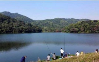 陈家山钓鱼怎么样，陈家山水库！