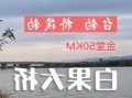 白果电站钓鱼怎么样？白果大桥野钓？