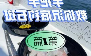 海钓打底钓鱼怎么样？海钓钓底用什么饵料？