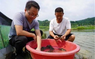 咸阳水产钓鱼怎么样？咸阳水产钓鱼怎么样啊？