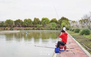 奉贤花园钓鱼怎么样，奉贤哪里看花