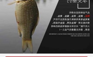 昆明老米钓鱼怎么样，老米窝料怎么样？