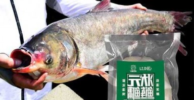 海杆饵料钓鱼怎么样，海杆饵料怎么使用？