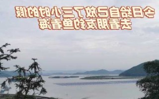 福鼎江滨钓鱼怎么样，福鼎江滨北路在哪里？