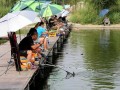 清明下雨钓鱼怎么样？清明下小雨好钓鱼吗？