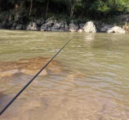 老家溪流钓鱼怎么样，老家溪流钓鱼怎么样好钓吗