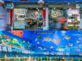 阿浪钓鱼怎么样，阿浪海鲜第一市场平价店怎么样