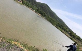 江夏上岛钓鱼怎么样？江夏免费钓点？