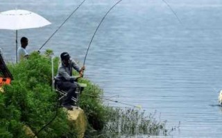 下雨河钓鱼怎么样？下雨天河流钓鱼技巧？