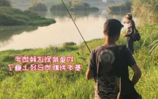 钓鱼佬app怎么样，钓鱼佬真的什么都钓的到