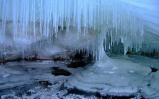 雪岸钓鱼怎么样，雪岸钓鱼怎么样好用吗！