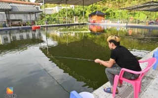 博白农家钓鱼怎么样，博白农家钓鱼怎么样啊