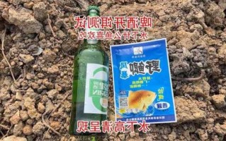 钓鱼加啤酒怎么样？钓鱼啤酒开饵有用吗？