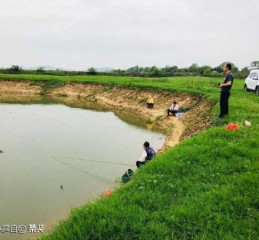 邻水观音钓鱼怎么样，观音堂水库钓鱼收费