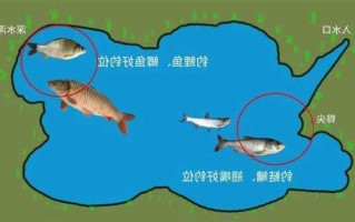 水肥怎么样去钓鱼？水肥钓鱼怎么选择饵料？