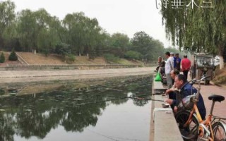 北京钓鱼现状怎么样？北京城区钓鱼？