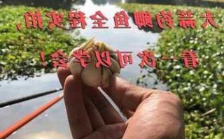 怎么样做大蒜钓鱼？怎么用大蒜钓鱼？