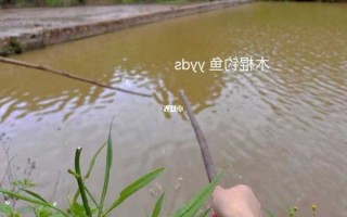 菜鸟爱钓鱼怎么样，菜鸟钓鱼愿者上钩？