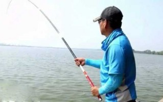 怎么样才能高效钓鱼，怎么样才能高效钓鱼呢