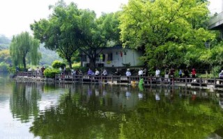 竹林奇境钓鱼怎么样，竹林风景线项目？