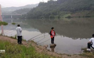 阳西钓鱼山庄怎么样，阳西县附近哪儿有河钓鱼！