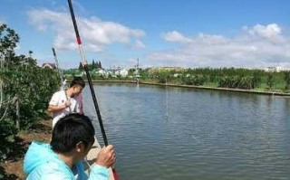 虹桥钓鱼王子怎么样，上海虹口钓鱼地方