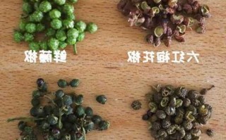 花椒钓鱼效果怎么样？花椒对钓鱼能起到效果吗？