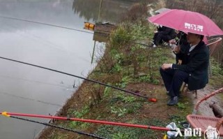 肇庆下雨钓鱼怎么样，肇庆钓鱼天气