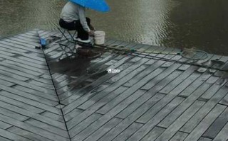 济宁下雨钓鱼怎么样，济宁下雨吗！