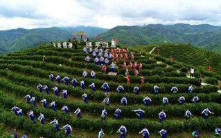 平利野炊钓鱼怎么样，平利周边自驾一日游！