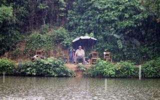 夏季雨前钓鱼怎么样，夏季雨前钓鱼怎么样好钓吗？