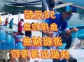 海里鱼排钓鱼怎么样？海边鱼排钓鱼视频？