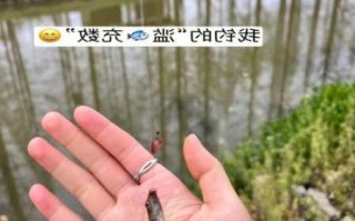 天天钓鱼浮标怎么样，天天钓鱼对身体有哪些害处？