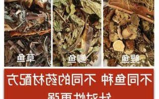 中药酒怎么样钓鱼，中药酒野钓有用吗