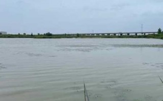 秋季雨前钓鱼怎么样？秋季下雨前垂钓好还是雨后垂钓好？