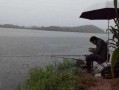 下雨了钓鱼怎么样，下雨了钓鱼怎么样才能钓到？