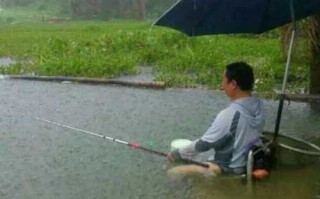 雨天怎么样才能钓鱼，雨天怎么样才能钓鱼呢！