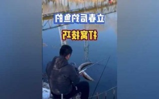 立春过后钓鱼怎么样，立春过后钓鱼怎么样了