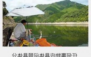 夏天钓场钓鱼怎么样，夏天钓鱼技巧大全！